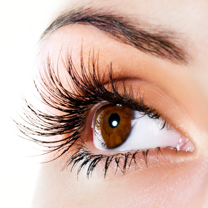 Revitalash | An eyelash growth serum that actually works
